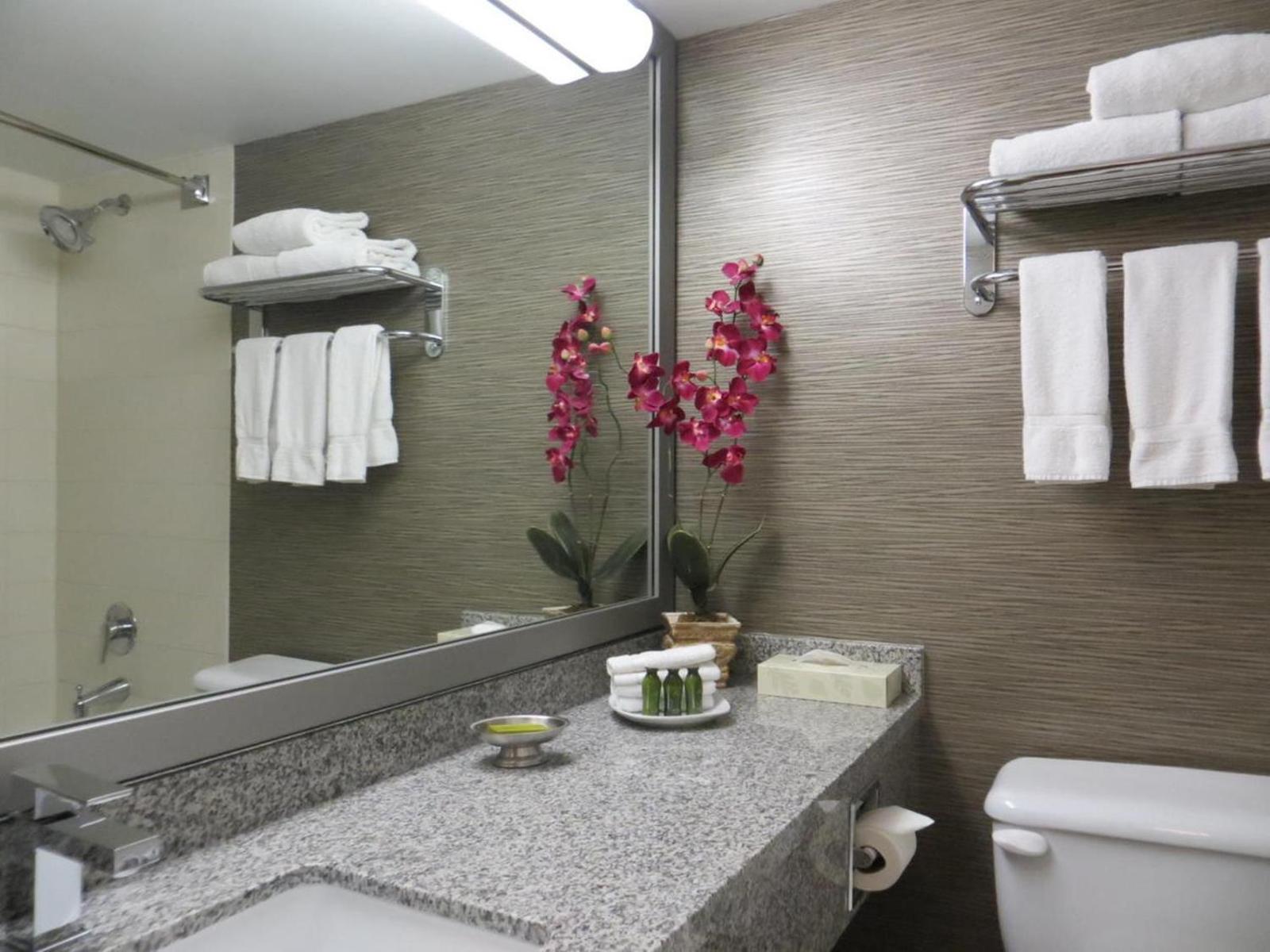 Toronto Don Valley Hotel and Suites